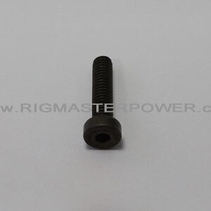 RIGMASTER Fuel Rail Screws *** 4 per Unit *** ***SPECIAL ORDER*** PART # ED0097303130-S - Image 1