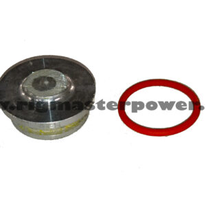 RIGMASTER Cylinder Head Plug Kit PART ***SPECIAL ORDER*** # ED0090650070-S-K - Image 1