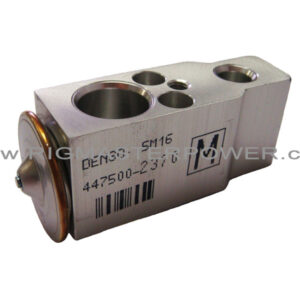 RIGMASTER LG200 Expansion Valve LG9-003