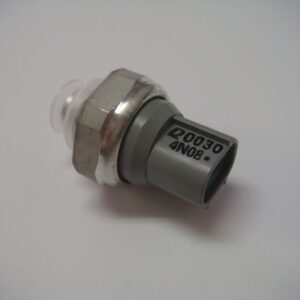 RIGMASTER LG Pressure Switch (Binary Switch - Male) LG9-005